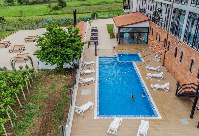 هتل Tsinandali Resort & Spa