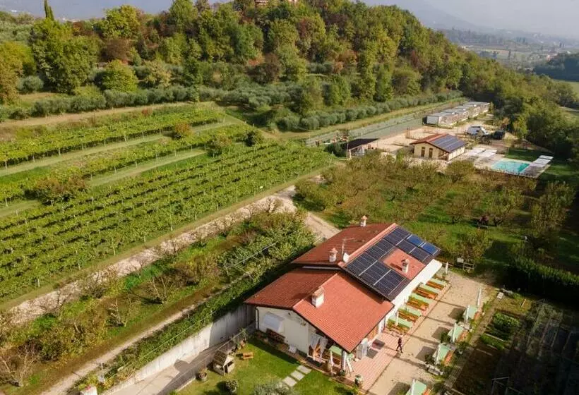 ホテル Agriturismo Agricamping Garda Natura