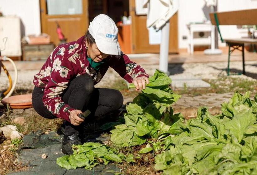 בית מלון כפרי Agriturismo Agricamping Garda Natura