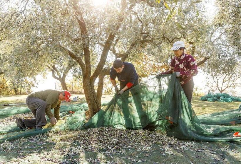 בית מלון כפרי Agriturismo Agricamping Garda Natura