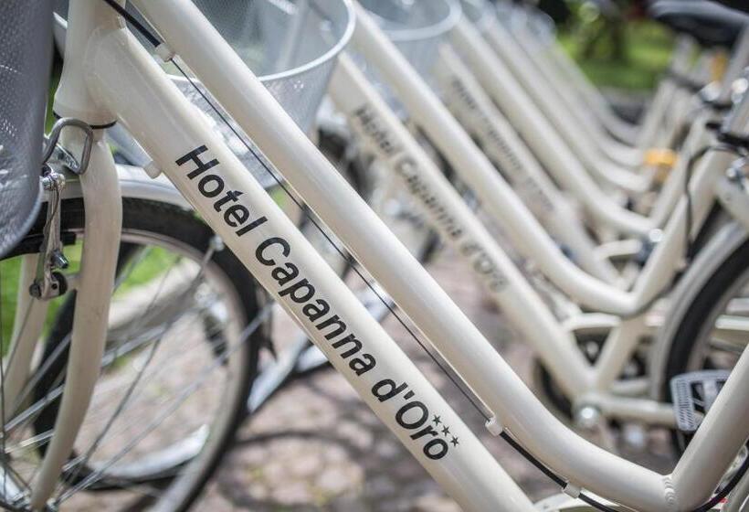 בית מלון כפרי Capanna D'oro Dependance