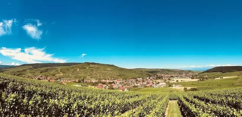 Отель A L'arbre Vert