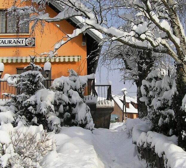 酒店 A L'arbre Vert