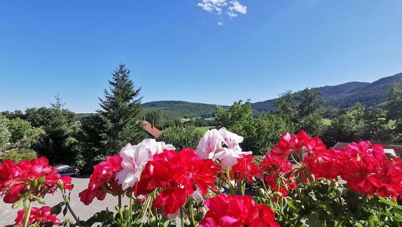 酒店 A L'arbre Vert