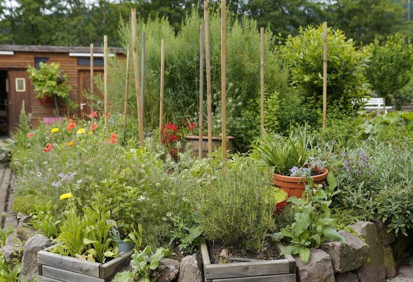 酒店 A L'arbre Vert