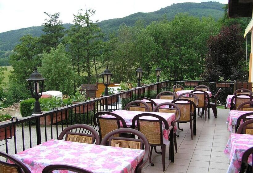 酒店 A L'arbre Vert