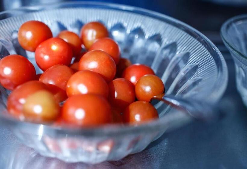 בית מלון כפרי Ariston