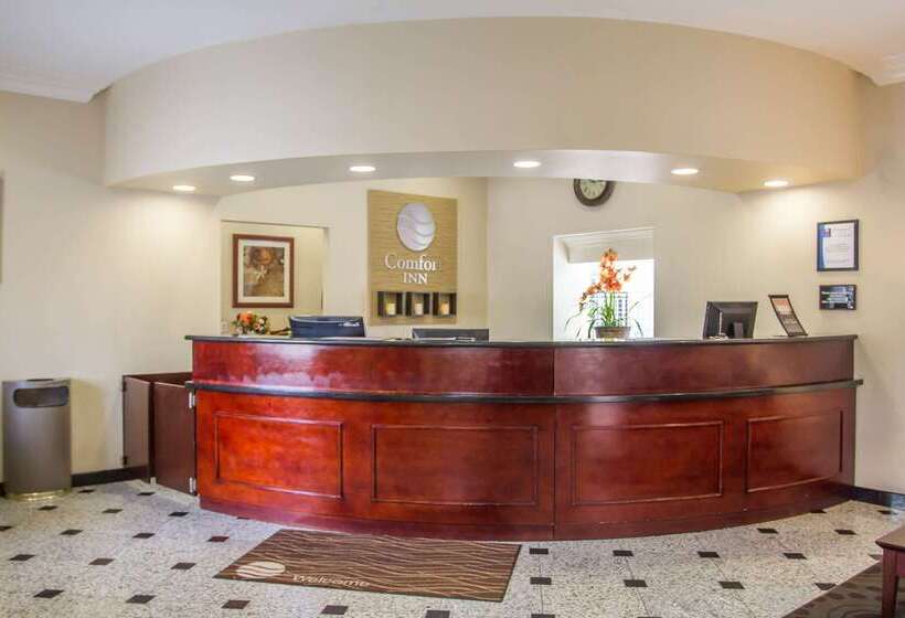 호텔 Comfort Inn Cockatoo Near Lax Airport