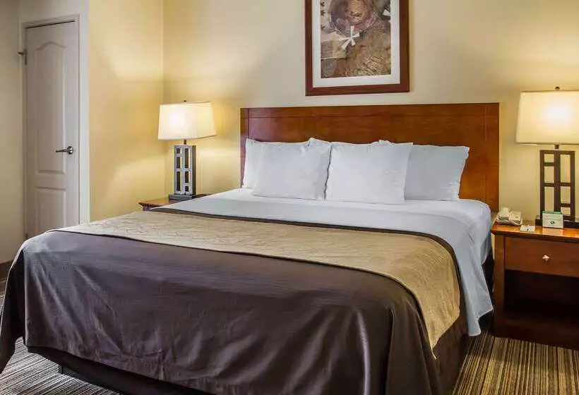 هتل Comfort Inn Cockatoo Near Lax Airport