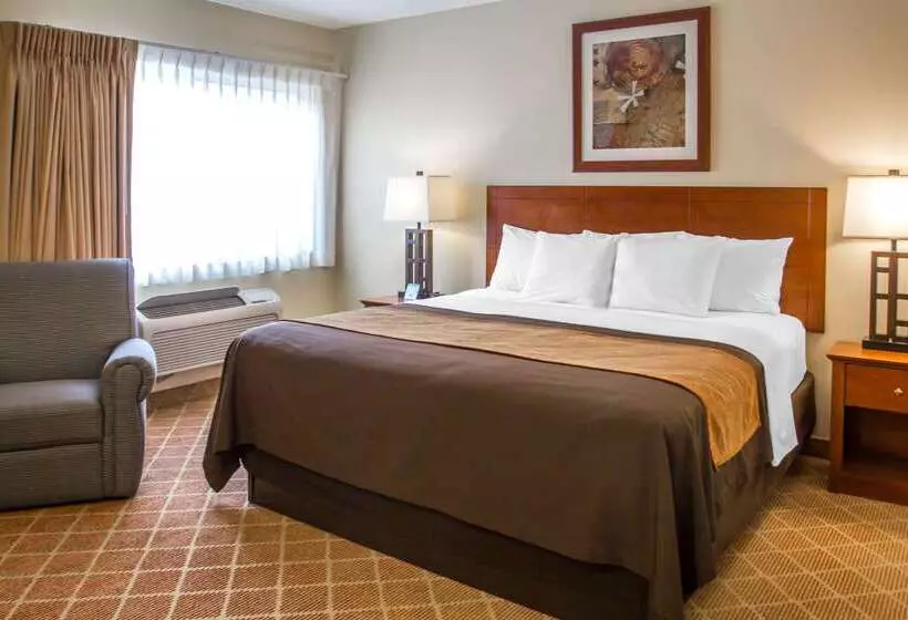 هتل Comfort Inn Cockatoo Near Lax Airport