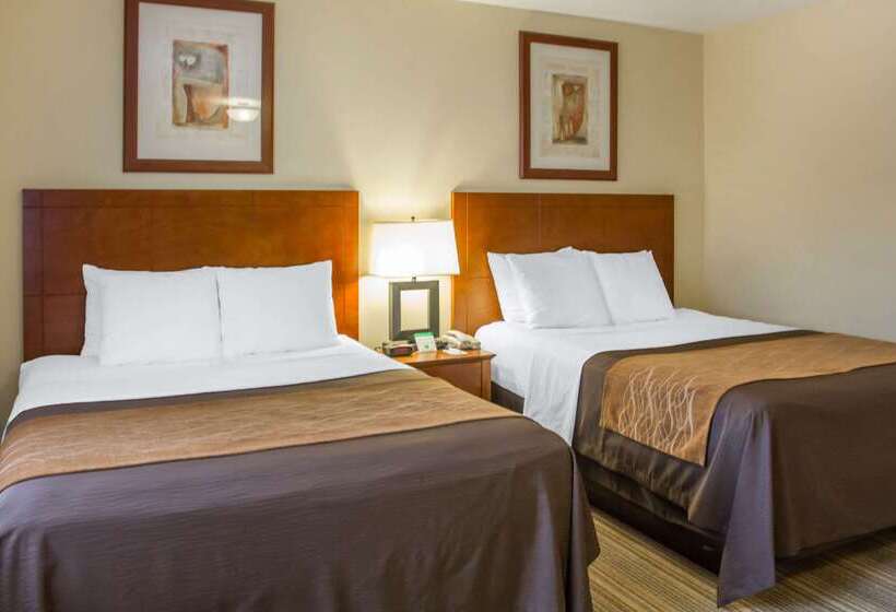 호텔 Comfort Inn Cockatoo Near Lax Airport