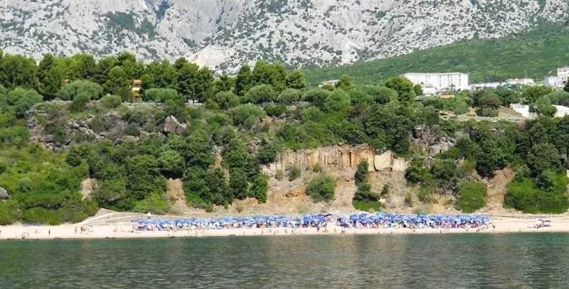 酒店 Ristorante La Conchiglia