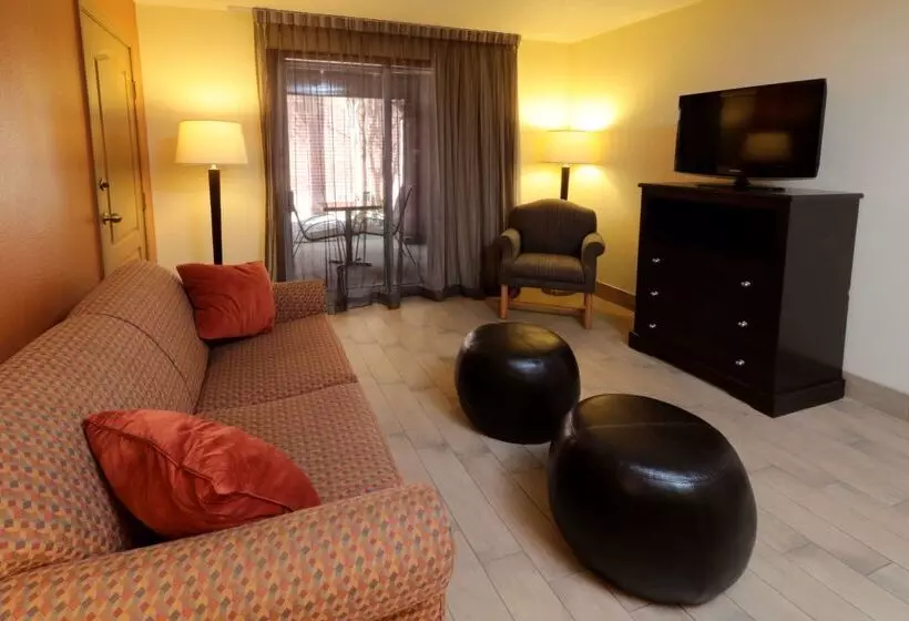 酒店 Wyndham Garden Mcallen At La Plaza Mall