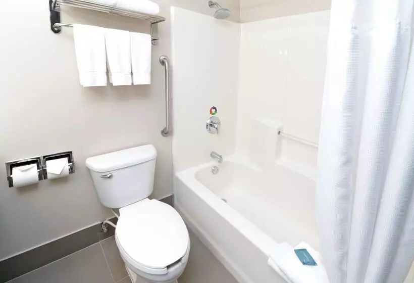 酒店 Wyndham Garden Mcallen At La Plaza Mall