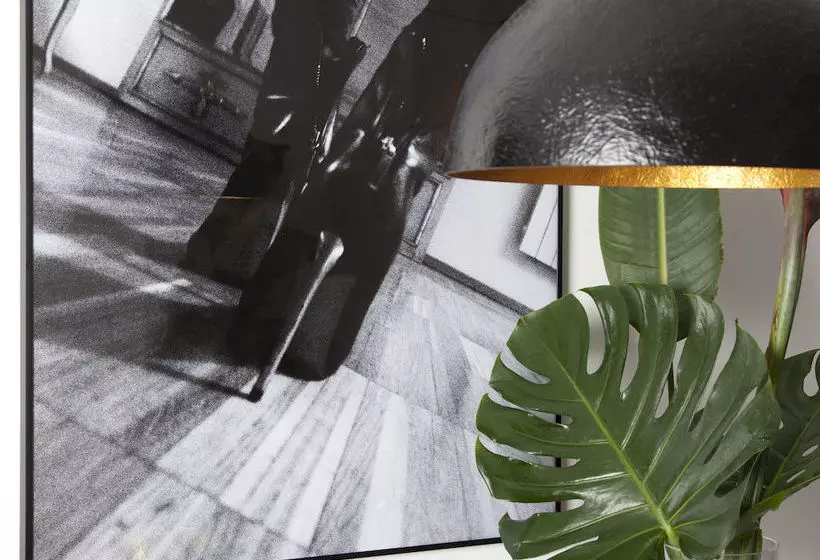 L'Aragó by The Streets