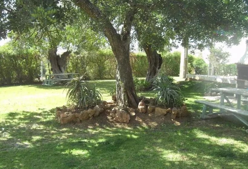 Tavira Garden