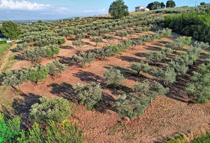 ホテル Agriturismo Incanto Della Natura