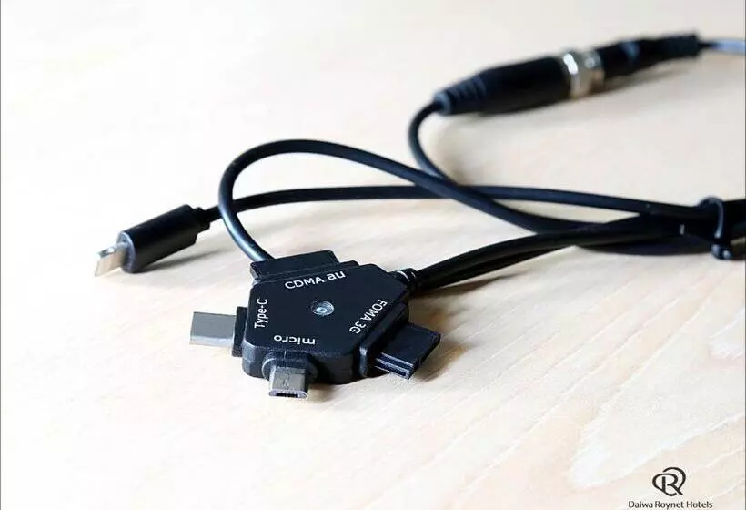 Daiwa Roynet Hotel Kumamoto