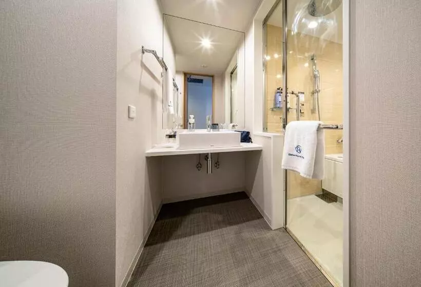 Daiwa Roynet Hotel Kumamoto