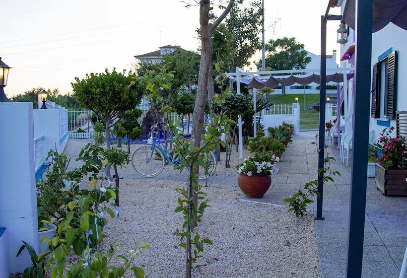 Pensione 4ever Palace   Design & Nature