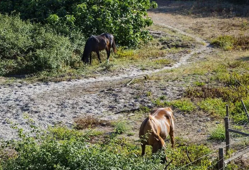 Majatalo 4ever Palace   Design & Nature