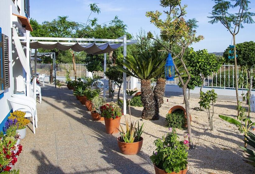 Pensione 4ever Palace   Design & Nature