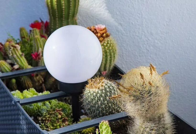 Majatalo 4ever Palace   Design & Nature