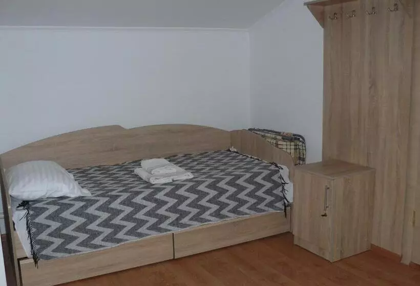 پانسیون Hostynnyi Botsiun