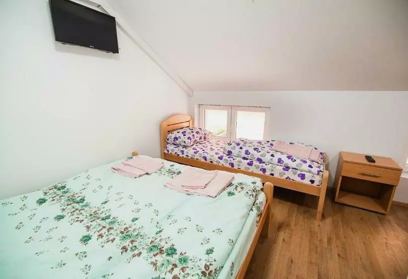 پانسیون Rooms Vila Medena