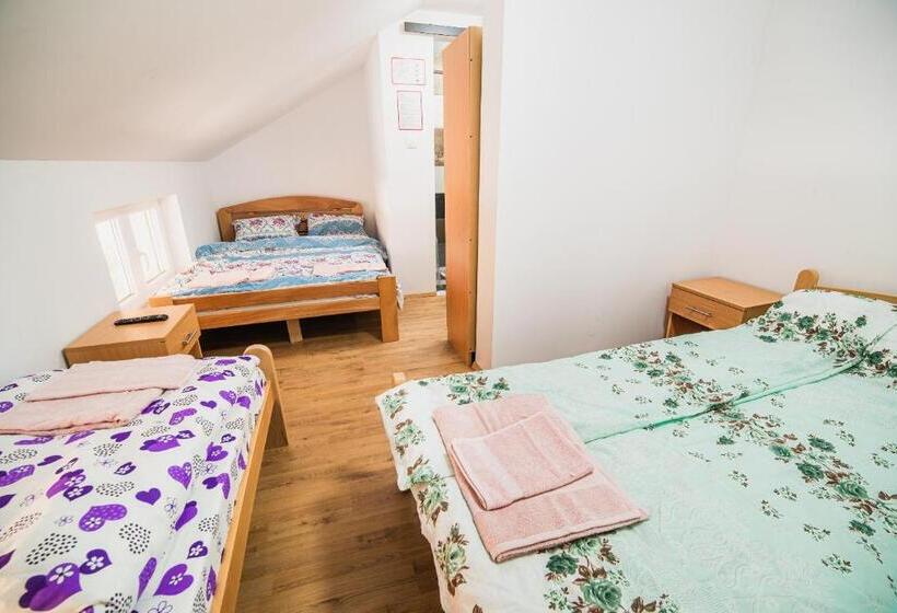 پانسیون Rooms Vila Medena