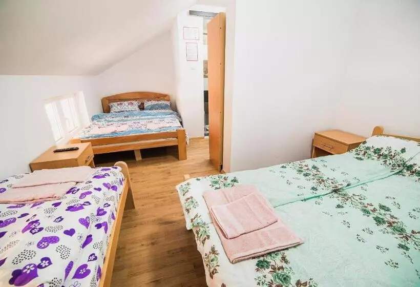 پانسیون Rooms Vila Medena