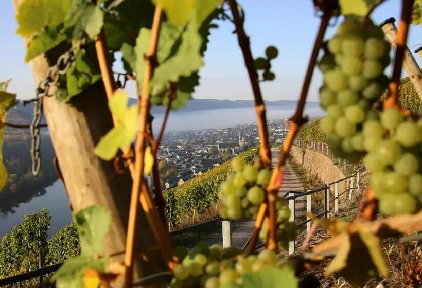 ペンション Wein Und Gästehaus Hüls