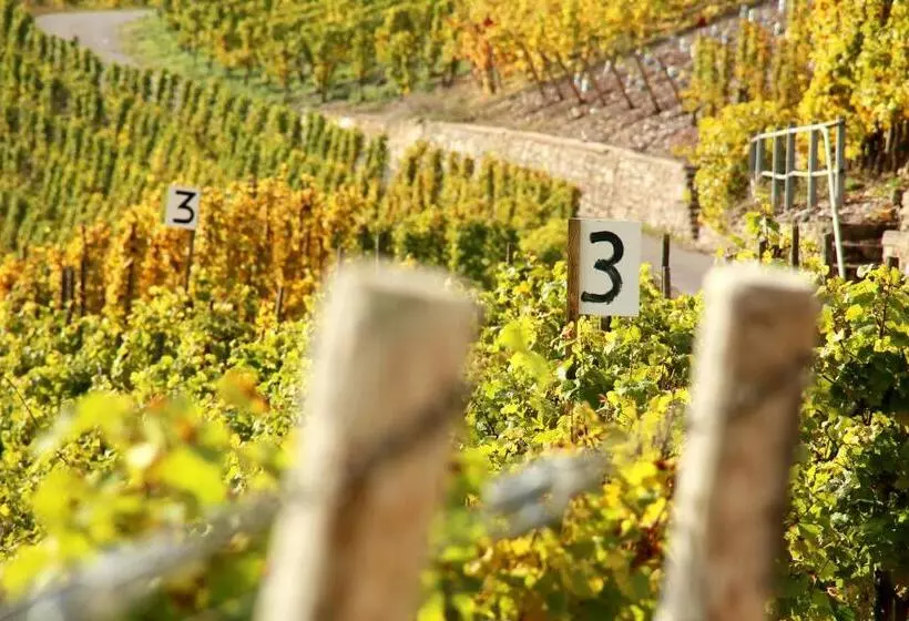 ペンション Wein Und Gästehaus Hüls