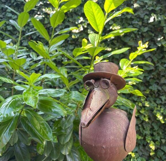 Пансион Wein Und Gästehaus Hüls