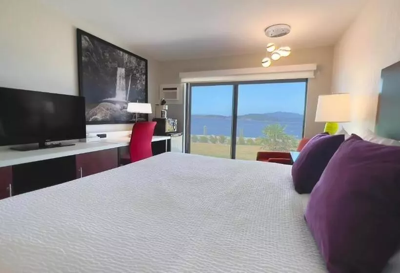 Motelli The Oceanside, A Coast