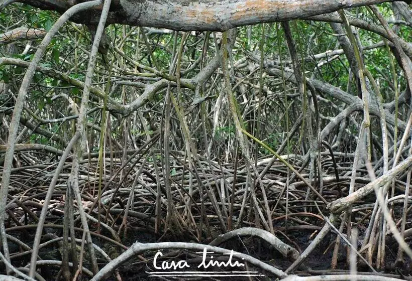 Casa Tinti Hotel Boutique