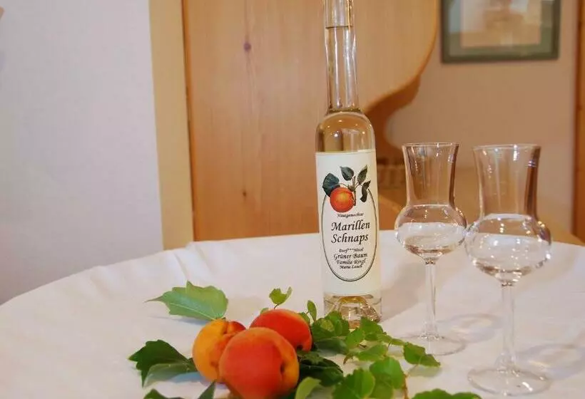 Dorf Hotel Grüner Baum