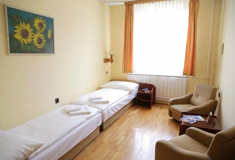 ホテル Bara Gellért