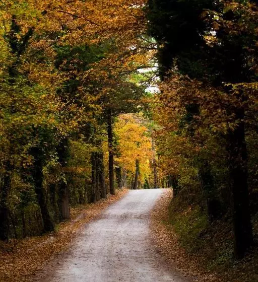 هتل Castello Di Petroia Dimora D Epoca
