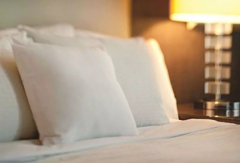 호텔 Doubletree By Hilton Beijing