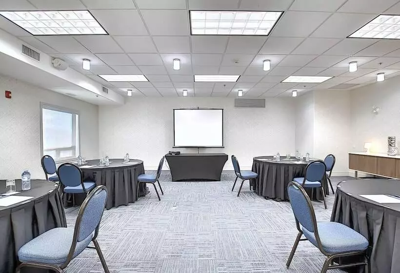 Hotel Holiday Inn Express Airport Calgary, An Ihg