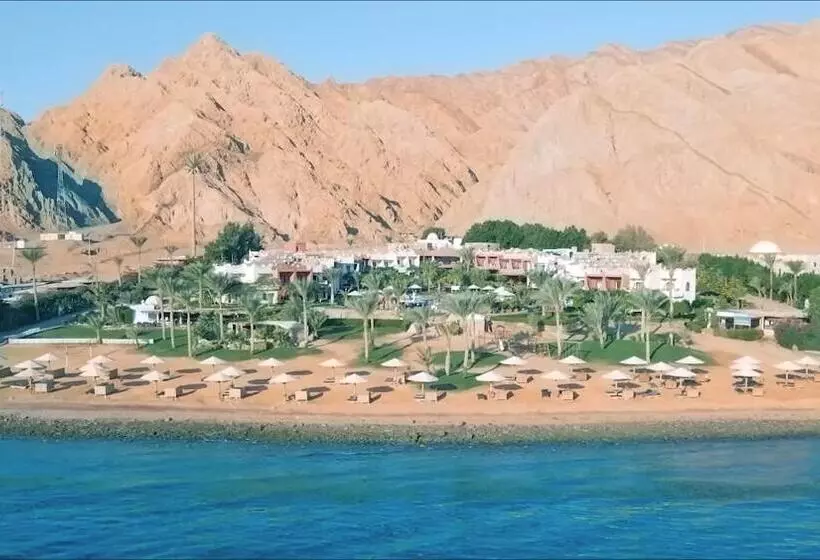 هتل Tropitel Dahab Oasis