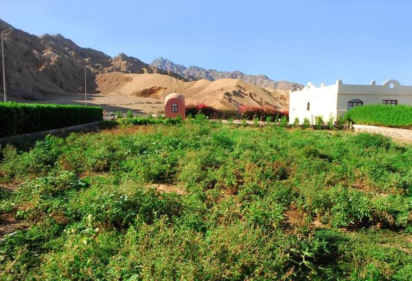 Hotel Tropitel Dahab Oasis