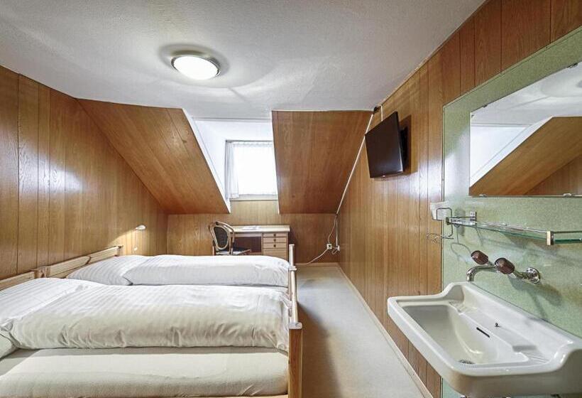 فندق Weisses Kreuz