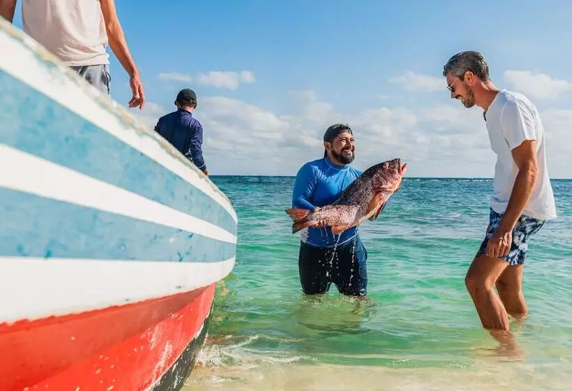 渡假胜地  Grand Velas Riviera Maya - All Inclusive