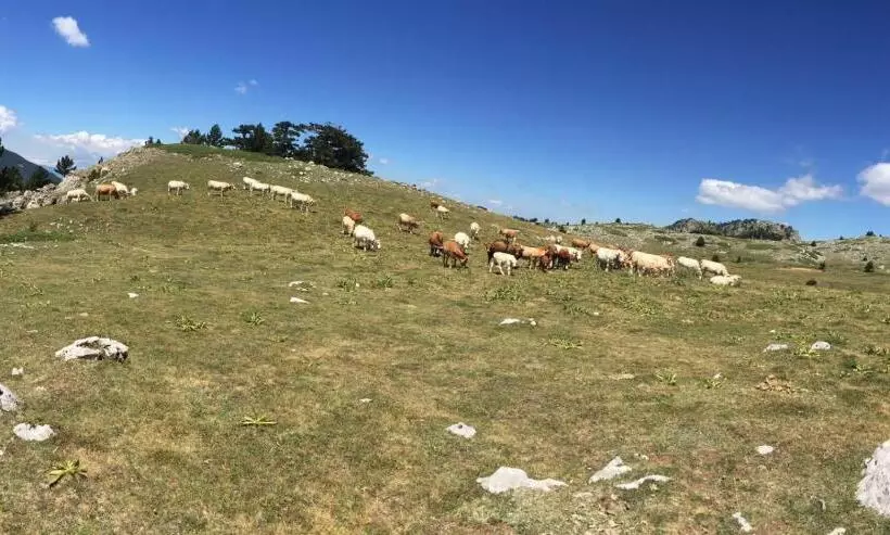 Majatalo La Stella Del Pollino