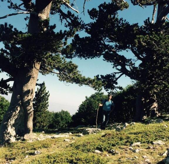 بنسيون La Stella Del Pollino