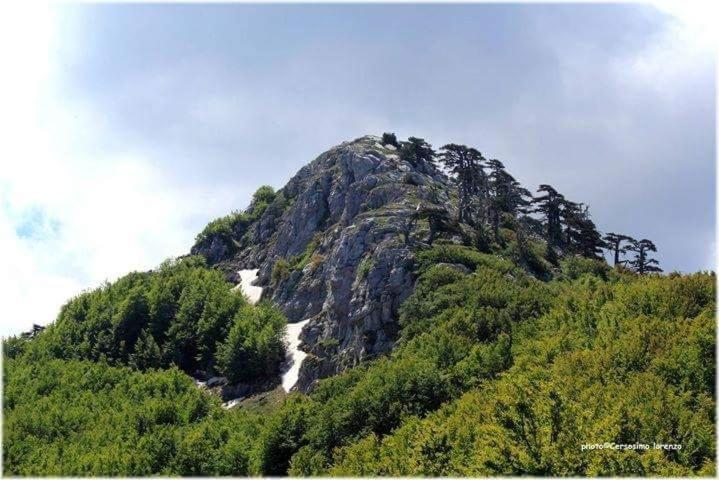 بنسيون La Stella Del Pollino