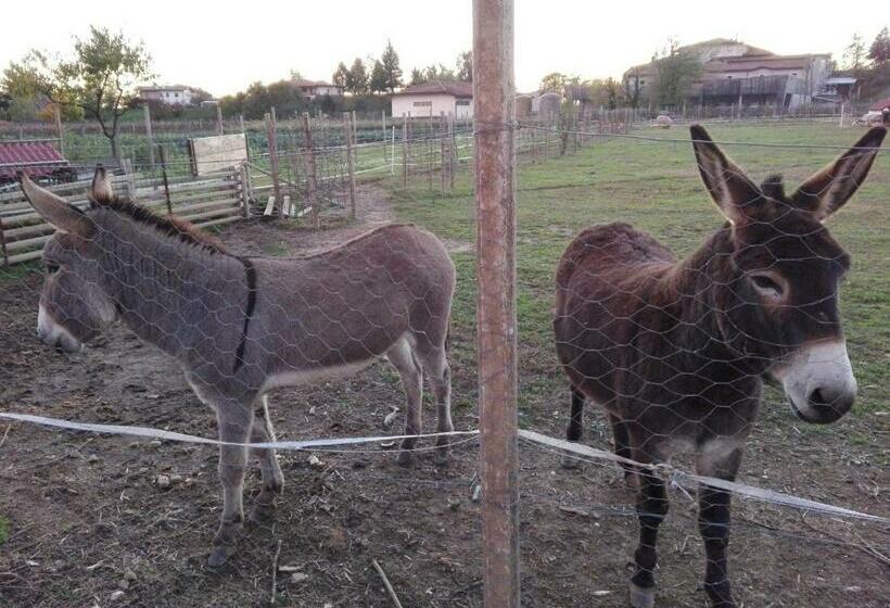בית מלון כפרי Agriturismo Borgo Floreani