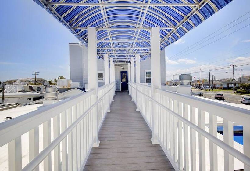 בית מלון כפרי Surf City